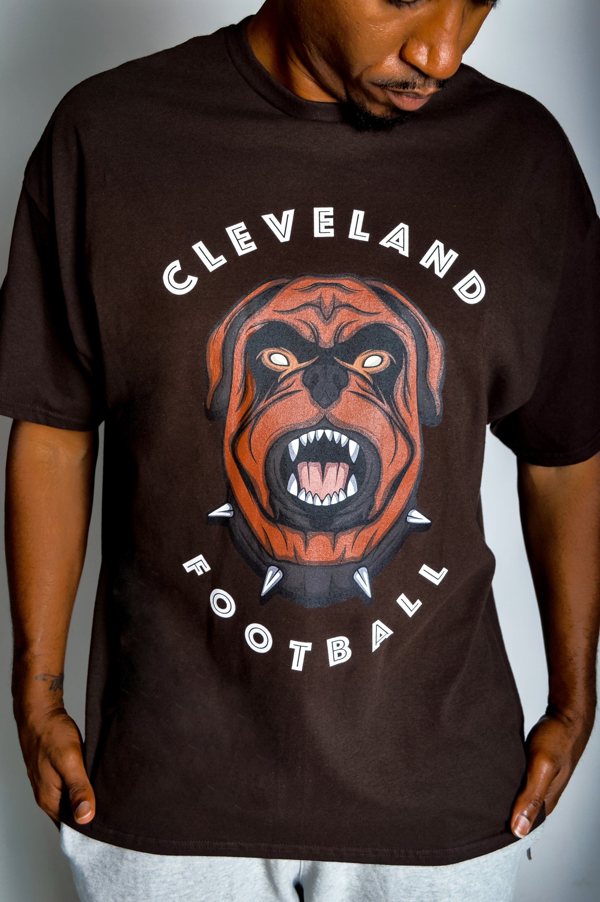 cleveland browns dog shirt